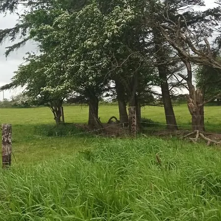 בית נופש The Old Mill, Kilcorkey, Bellanagare, Castlerea, County Roscommon - West Of Ireland -house 1 Bellanagare