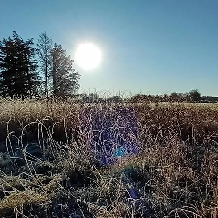 The Old Mill, Kilcorkey, Bellanagare, Castlerea, County Roscommon - West Of Ireland -house 1 Ferienhaus