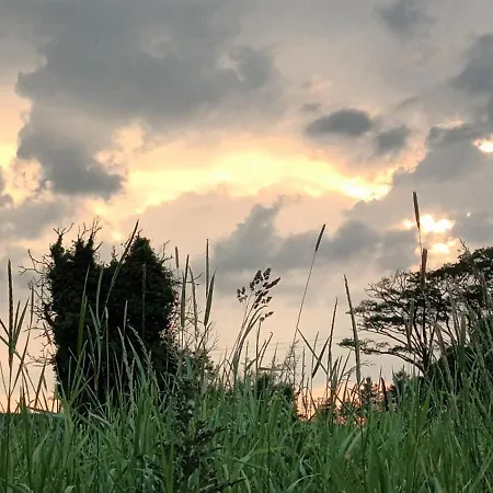 The Old Mill, Kilcorkey, Bellanagare, Castlerea, County Roscommon - West Of Ireland -house 1 בית נופש Bellanagare